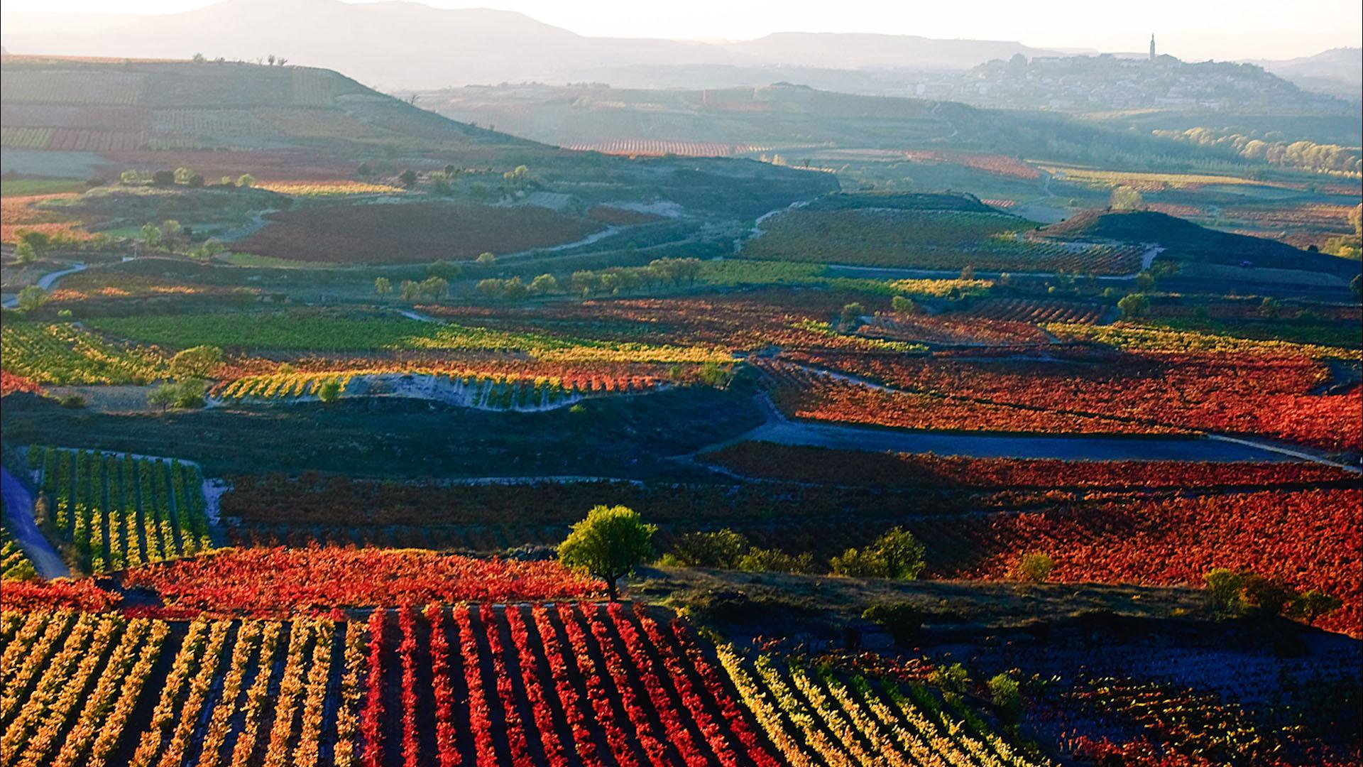 La Rioja y sus vinos en internet